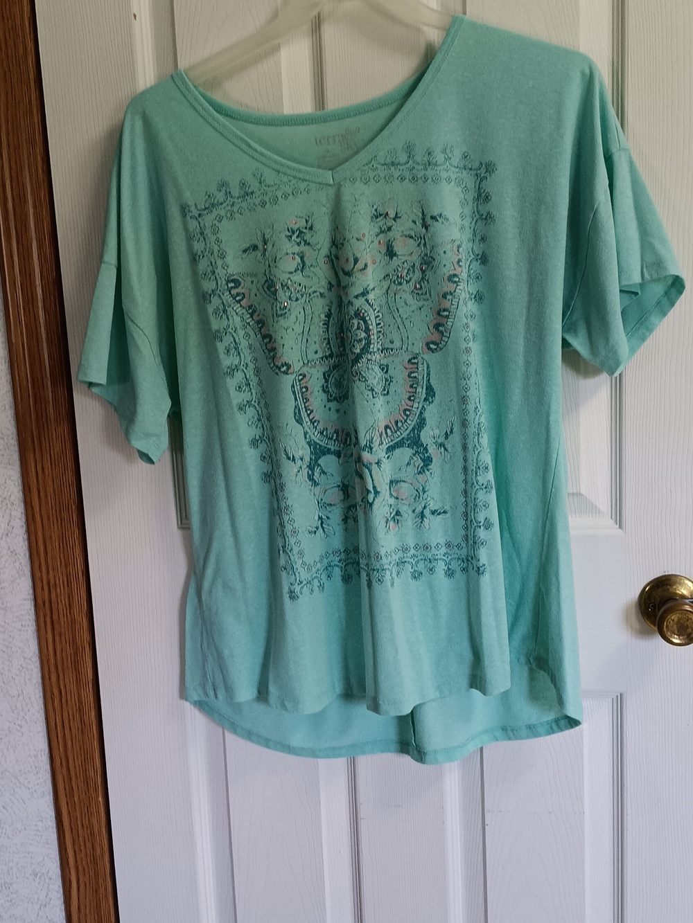 Terra & Sky Turquoise V-Neck Short Sleeve Tee with Decorative Front Print